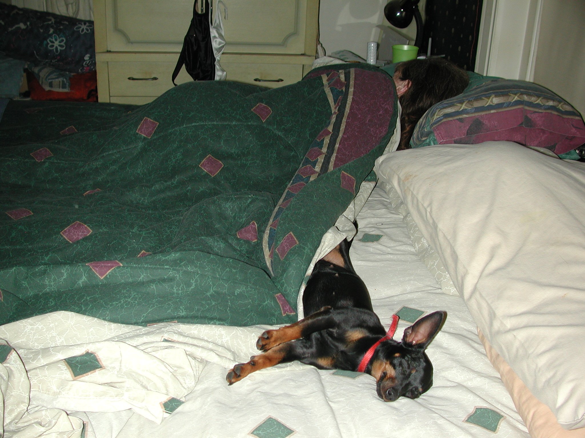 dscn2358.jpg
